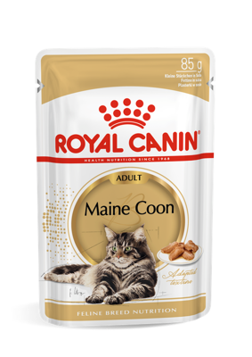 ROYAL CANIN Maine Coon Adult 12x85g 