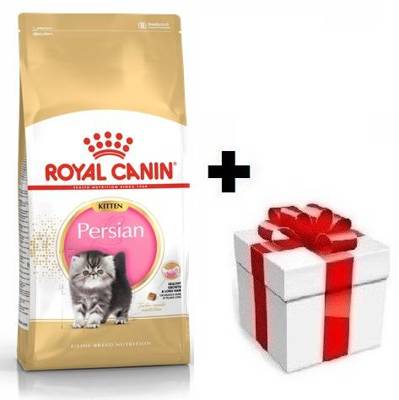 ROYAL CANIN Persian Kitten 10kg + sorpresa per il gatto GRATIS